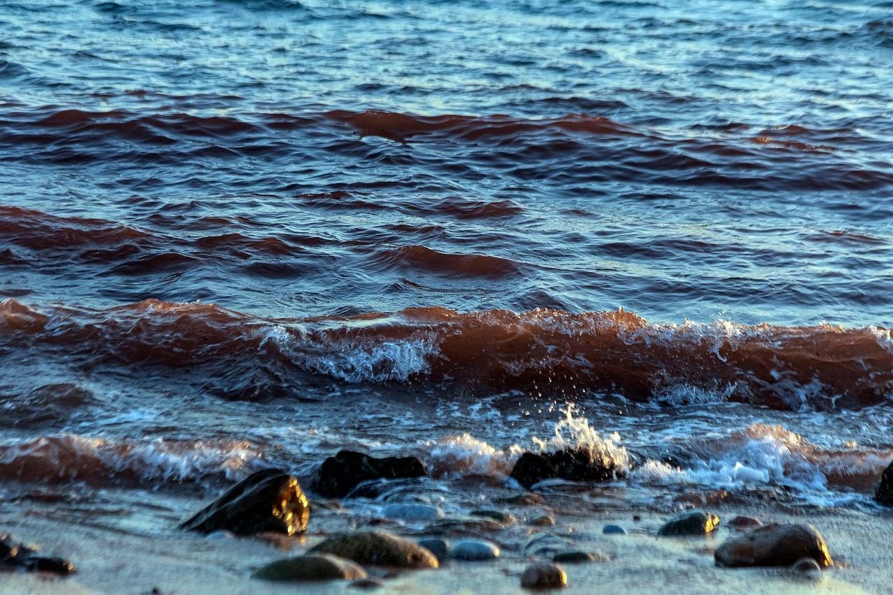 Fotografia d'archivio, non riferita ai fatti descritti nell'articolo